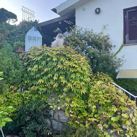 Incantevole Con Veranda * Giglio Porto